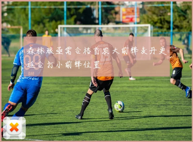 森林狼亟需合格首发大前锋麦丹更适合打小前锋位置